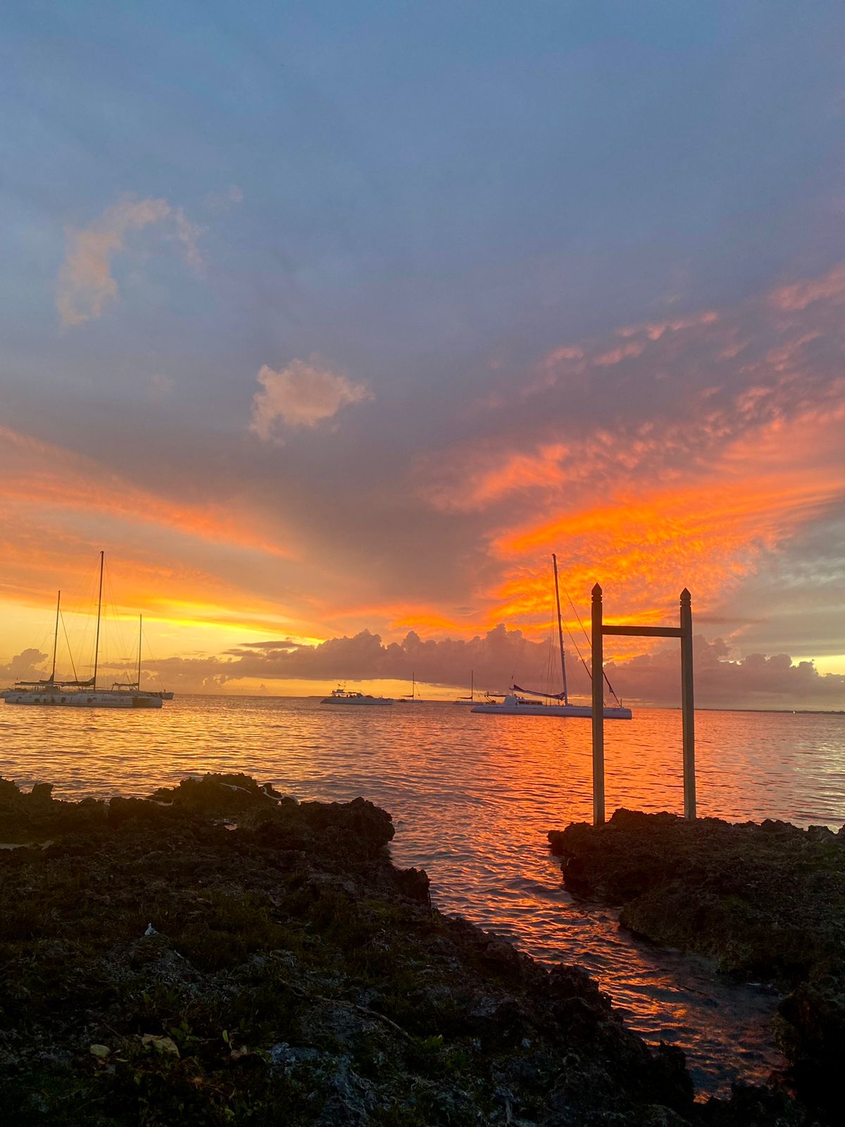 Paisaje caribeño de playa y palmeras en la zona de Bayahibe y Saona