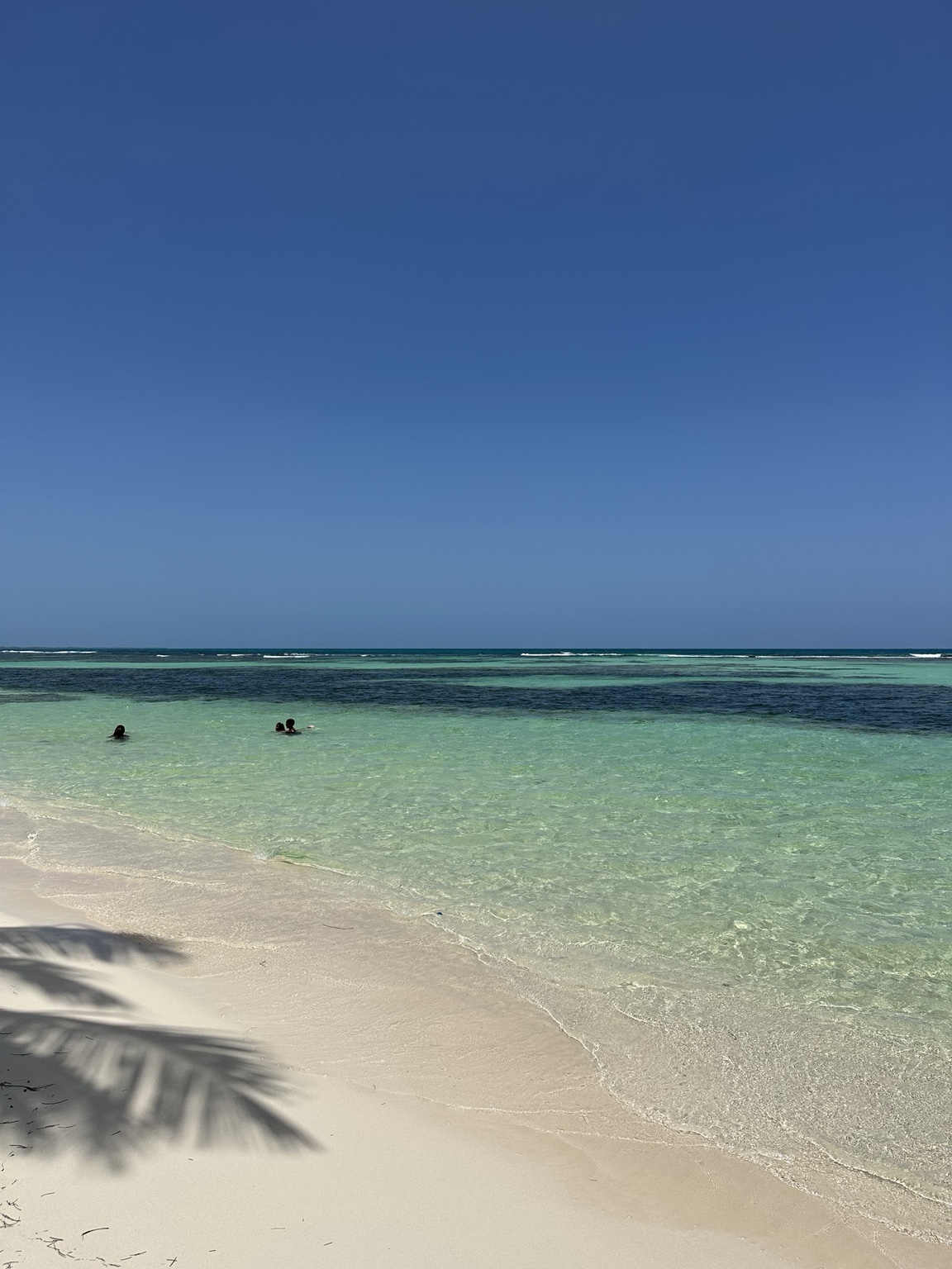 Playa de aguas claras en Bayahibe